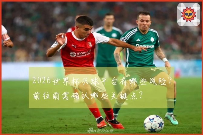 2026世界杯买球平台有哪些风险？前往前需确认哪些关键点？