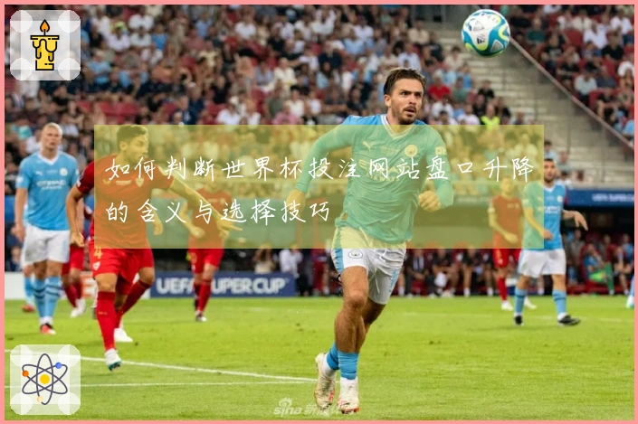 如何判断世界杯投注网站盘口升降的含义与选择技巧