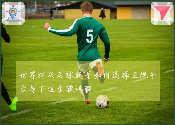 世界杯买足球新手如何选择正规平台与下注步骤详解