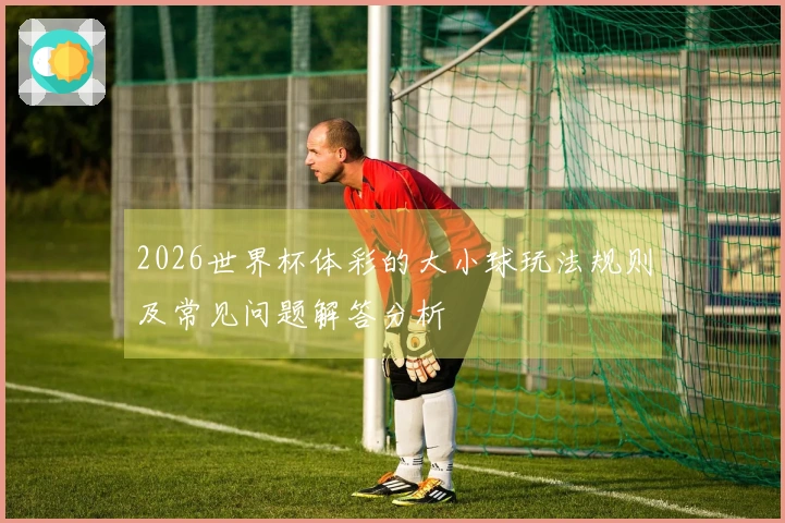 2026世界杯体彩的大小球玩法规则及常见问题解答分析