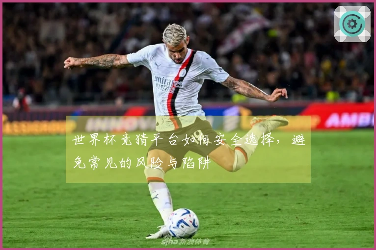 世界杯竞猜平台如何安全选择，避免常见的风险与陷阱