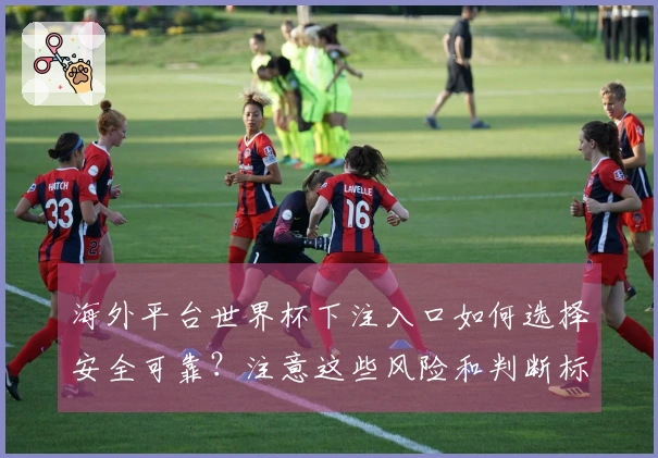 海外平台世界杯下注入口如何选择安全可靠？注意这些风险和判断标准