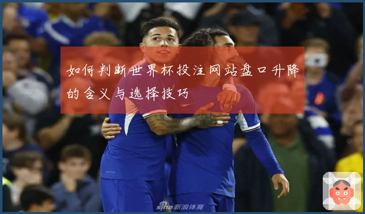 如何判断世界杯投注网站盘口升降的含义与选择技巧