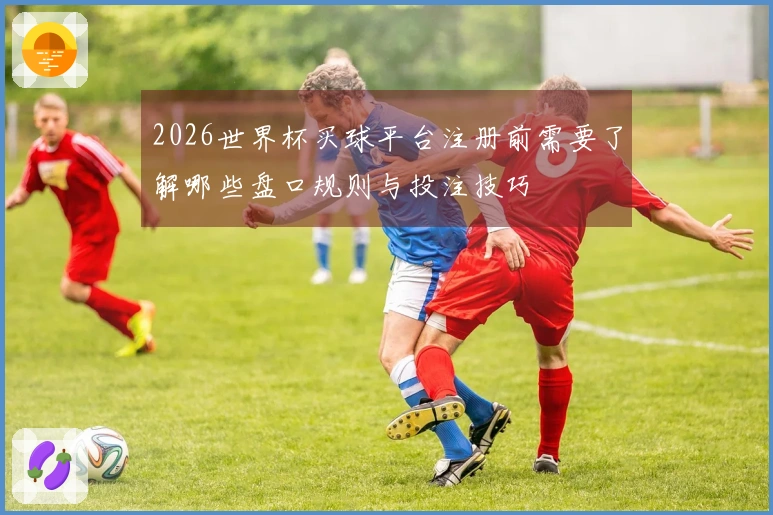 2026世界杯买球平台注册前需要了解哪些盘口规则与投注技巧