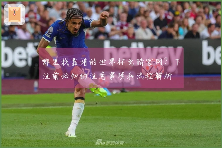 哪里找靠谱的世界杯竞猜官网？下注前必知的注意事项和流程解析