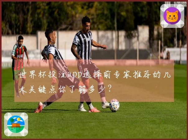 世界杯投注app选择前专家推荐的几大关键点你了解多少？