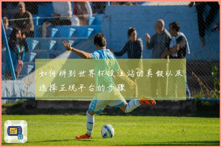 如何辨别世界杯投注站的真假以及选择正规平台的步骤