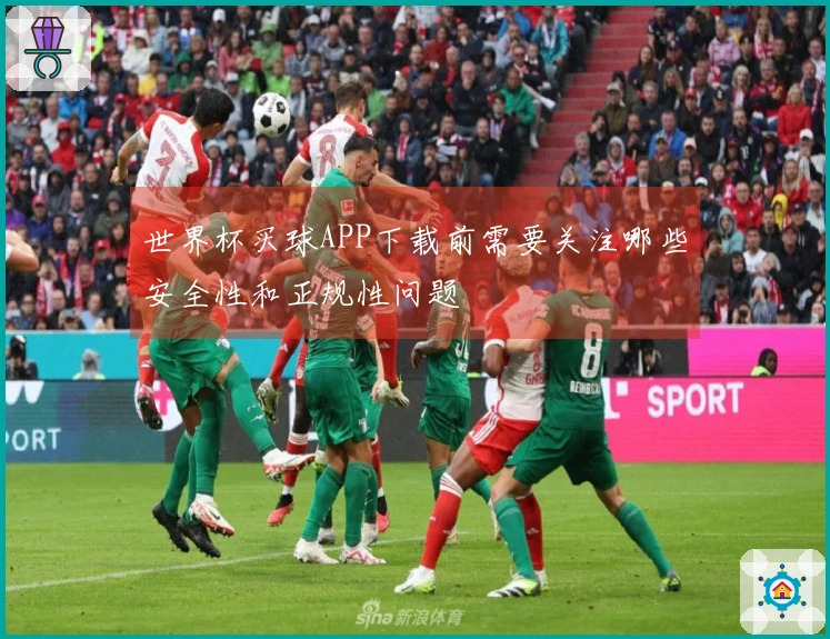 世界杯买球APP下载前需要关注哪些安全性和正规性问题