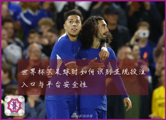 世界杯买足球时如何识别正规投注入口与平台安全性