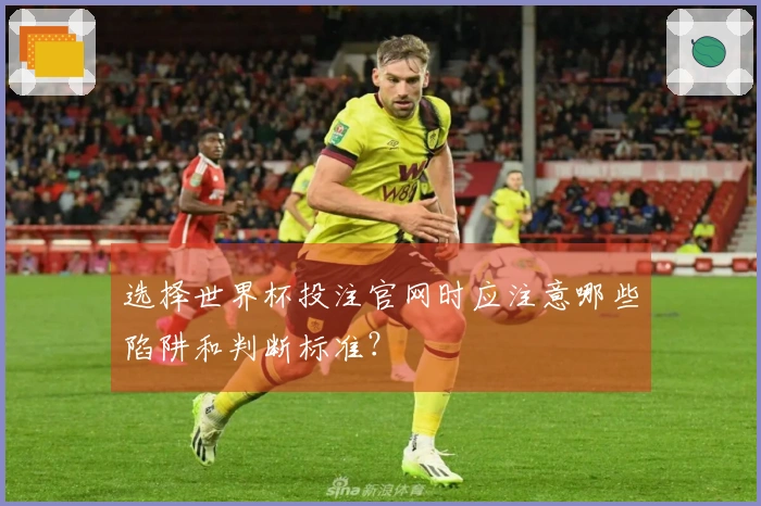 选择世界杯投注官网时应注意哪些陷阱和判断标准？
