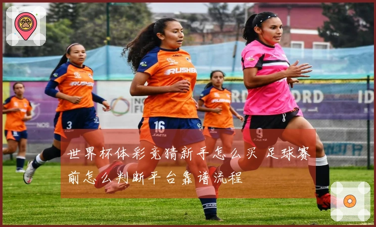 世界杯体彩竞猜新手怎么买 足球赛前怎么判断平台靠谱流程