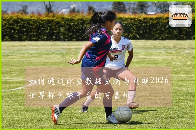 如何通过比分数据分析与判断2026世界杯买球平台的可靠性