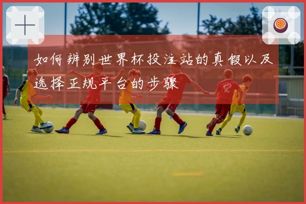 如何辨别世界杯投注站的真假以及选择正规平台的步骤