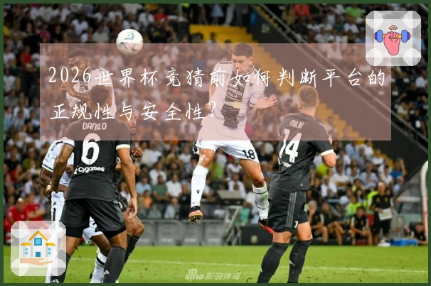 2026世界杯竞猜前如何判断平台的正规性与安全性？