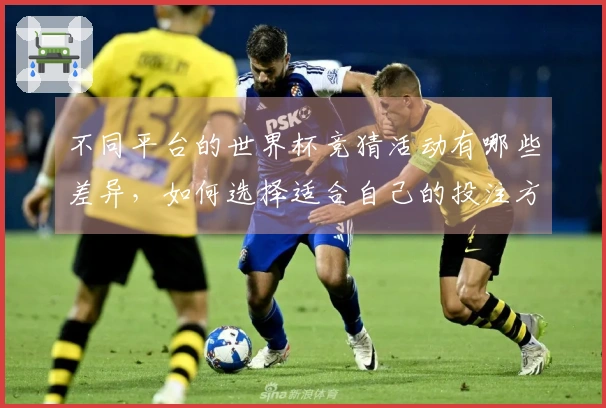 不同平台的世界杯竞猜活动有哪些差异，如何选择适合自己的投注方式