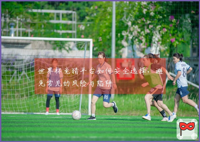 世界杯竞猜平台如何安全选择，避免常见的风险与陷阱