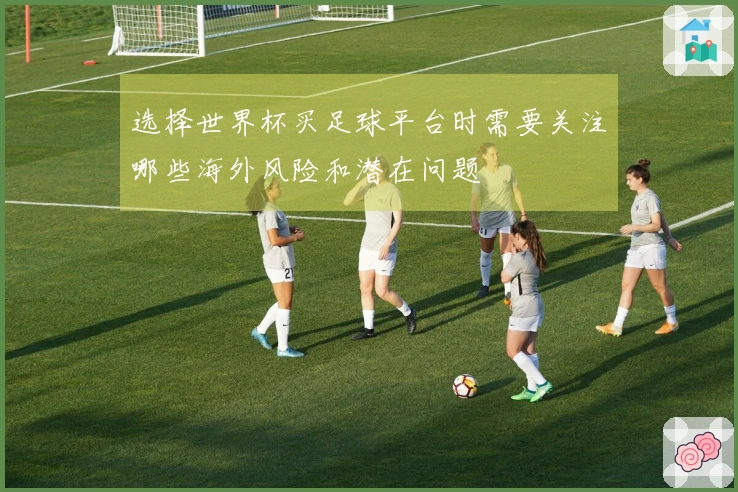 选择世界杯买足球平台时需要关注哪些海外风险和潜在问题